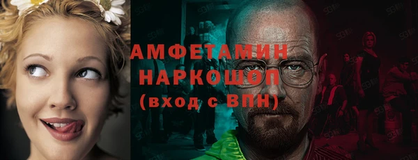 гашик Белокуриха