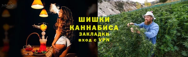 гашик Белокуриха